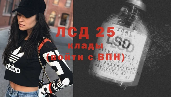 ПСИЛОЦИБИНОВЫЕ ГРИБЫ Балабаново